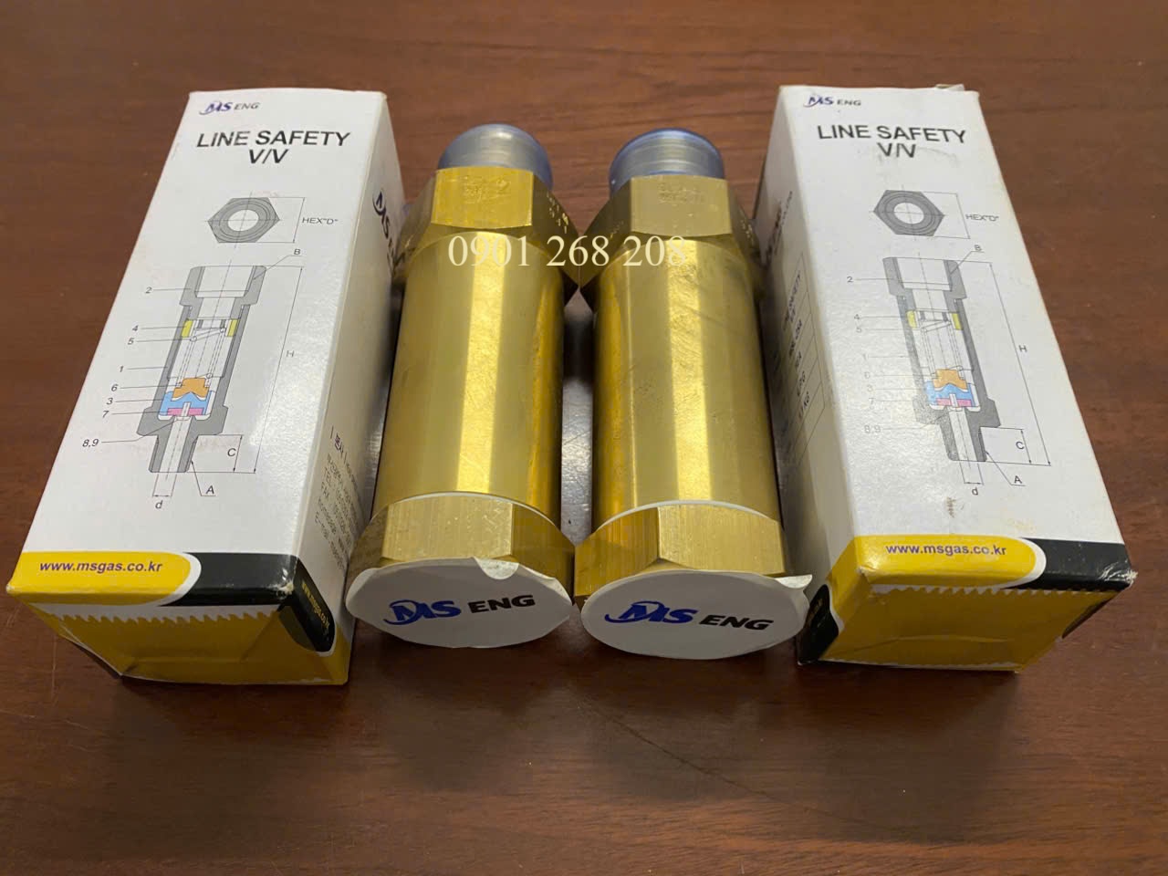 van xa an toan DN25 WSL-5111-25A MS Eng
